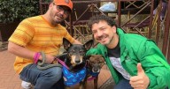 13 animales encontraron nuevo hogar en jornada de adopción en Theatrón
