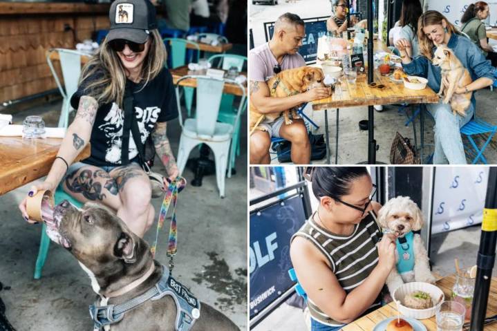 Exclusive | NYC restaurant Sea Wolf launches dogs-only menu packed with classy canine chow