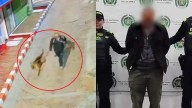 Indignación en Bogotá: dejan en libertad a hombre acusado de robar y abusar sexualmente de perros