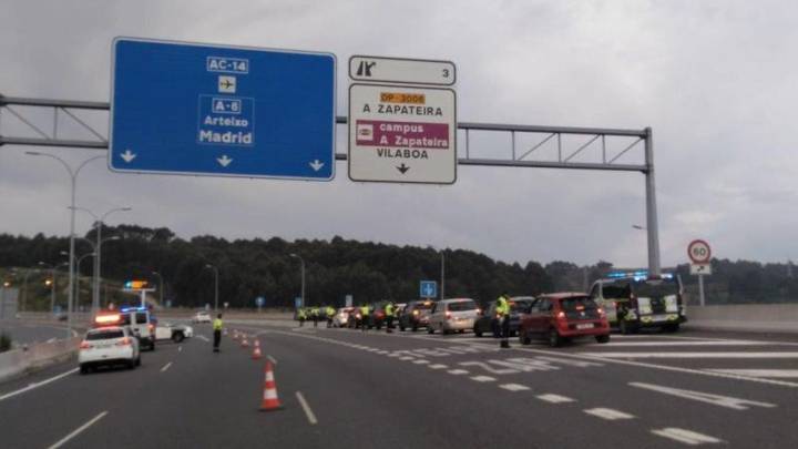 Un mapa viral sitúa a Galicia como la comunidad española líder en atropellos a un animal imposible de adivinar