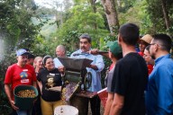 Plan de siembra de maíz y de arroz 2025: Logra una superficie de más de 347 mil hectáreas sembradas