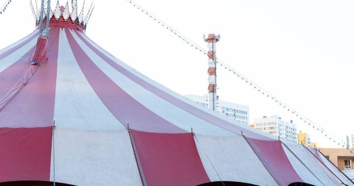 Circus acrobat plunges to death from trapeze in front crowd
