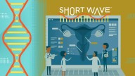 A surprising cause of endometriosis could lead to cure : Short Wave : NPR