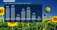 Weather Forecast: Sunshine and warmth continues