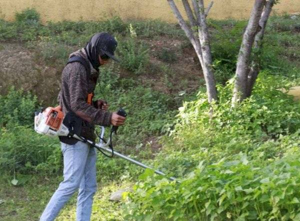 Arranca programa de empleo temporal para familias parralenses
