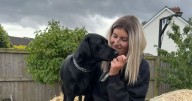 'Our family's pet dog saved my life after docs dismissed years of illness'