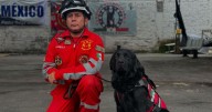 ¡Esperanza mexicana! Benbo, el perro rescatista que se prepara para salvar vidas en sismos