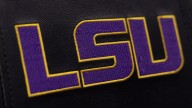 LSU swimming and diving coaches allegedly bullied athletes