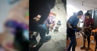 ‘Ramona’ fue arrollada por dos vehículos que la dejaron abandonada y sin auxilio