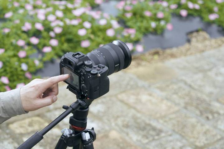 Be Alpha Coahuila 2025: Vuelve el más importante encuentro de fotografía de la mano de Sony
