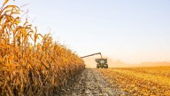 Retenciones: expectativa por la reunión entre el campo y Agricultura tras el fugaz beneficio a exportadores