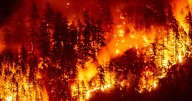 Climate-driven wildfires reversing clean air progress in U.S. and Canada, report finds