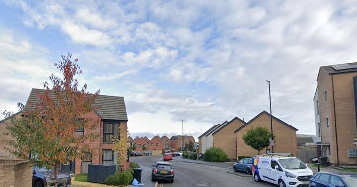 Intruders attack man and his dog during violent burglary in Hartcliffe