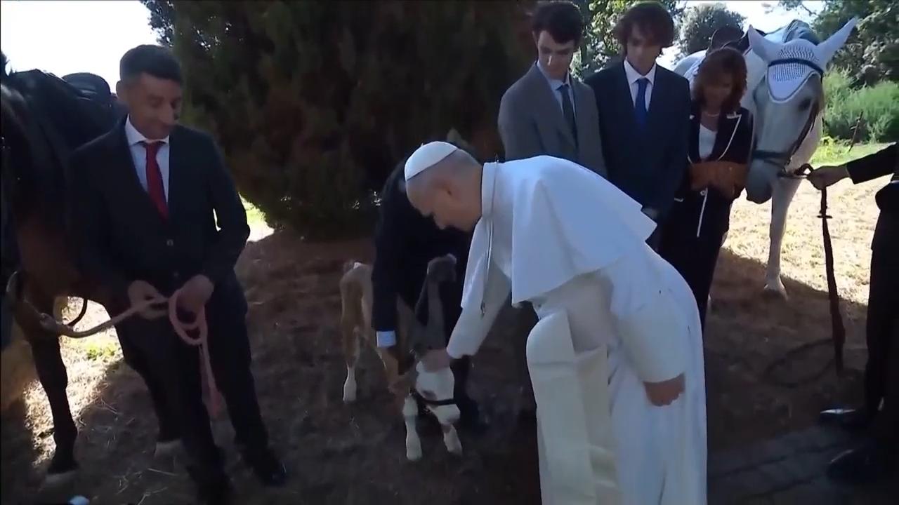 Pope pets horses as he opens Vatican's model of sustainable farming