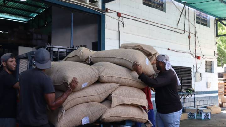 Venezuela impulsa su economía con exportaciones de cacao hacia Rusia