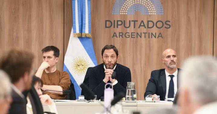 Caso $LIBRA: Diputados avanza con nuevas testimoniales para este martes, quiénes son los convocados