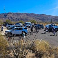 One-year construction at Saguaro National Park to upgrade visitor center