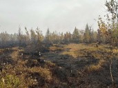 North Dundas forest fire 'significantly reduced,' township says