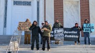 How many convicted criminals has ICE arrested in VT? See data
