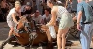 Un caballo de galera se desmaya en el centro de Palma