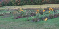 Vermonters embrace this week’s soggy weather