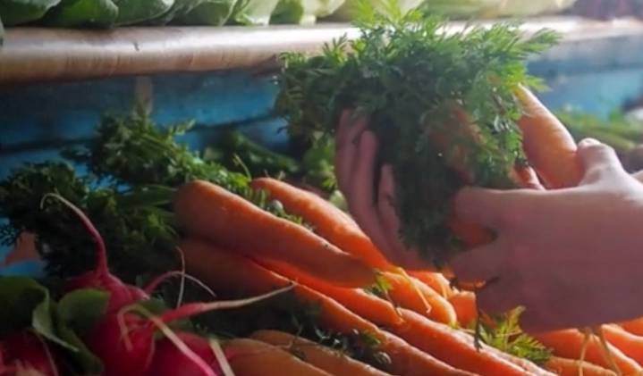 Más de 3 millones de platos de origen vegetal se servirán en hospitales, escuelas y empresas colombianas en 2025: Alimentando el Mañana