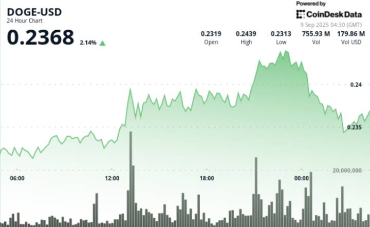 DOGE Price Action Shows 5.7% Swing as Traders Eye 25