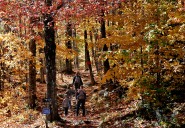 Fall Equinox Explained: Five Things To Know