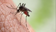 West Nile Virus found in mosquitoes near Moses Lake