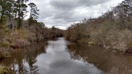 Savannah Riverkeeper finds PFAS, or 'forever chemicals' in soil, water samples