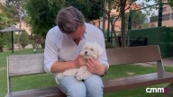 Alfonso Hevia y Neska: ¡feliz Feria de Albacete!