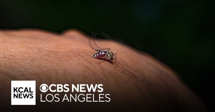 Los Angeles County reports first West Nile virus cases of the year