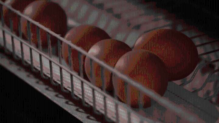 Black Sheep Egg Company of Arkansas recalls free-range brown eggs over salmonella concerns