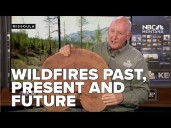 Wildfires past, present and future