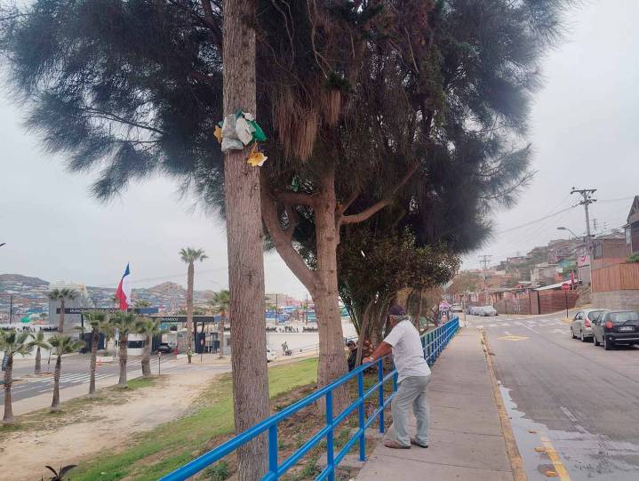 Vecinos que viven al lado de la Pampilla esperan riñas, «ebrios» y autos chocadores