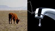 Capital Region Counties Added to New York’s Expanding Drought Watch