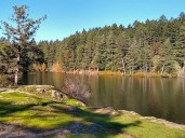 Body of 19-year-old man recovered from Upper Thetis Lake on Vancouver Island