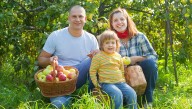 Nation's Apple Orchards Brace For Horde Of White People