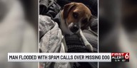 Man flooded with spam calls over missing dog