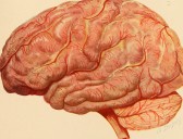 Doctors report first successful treatment for Huntington’s disease