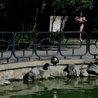 Bird flu outbreak shuts parks in Spain's Andalusia