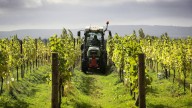 The rise of English sparkling wine