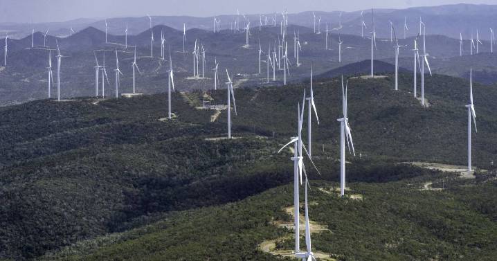 Environmental campaigner questions renewables growth on farmland