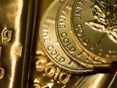 What's behind gold's record