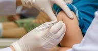 Q&A: The US is losing its only dengue vaccine