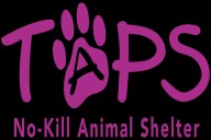 Pipe burst at Tazewell County animal shelter