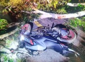 Joven motociclista resulta herido tras chocar con árbol caído en Tizimín