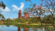 Cerro Matoso denuncia bloqueos que dificultan sus operaciones en Córdoba