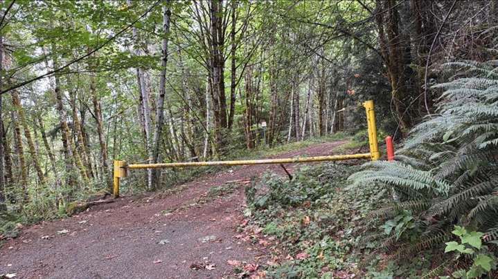 JBLM helicopter crash now 'death investigation,' authorities say