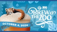 'Brew at the Zoo' 21+ event to be held after hours at Zoo Knoxville Oct. 3